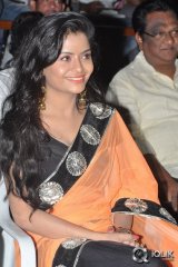 Namasthe Movie Audio Launch